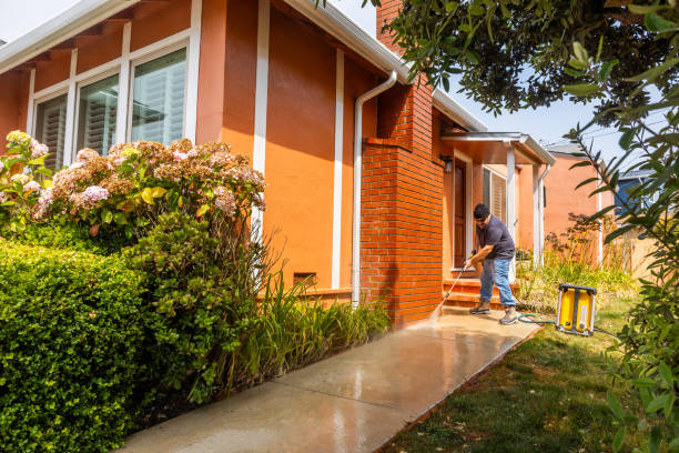 Best Local Pressure Washing Services  in Blountstown, FL
