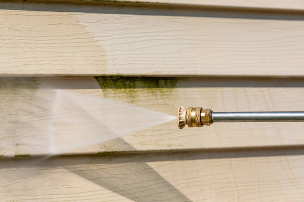Best Local Pressure Washing Services  in Blountstown, FL